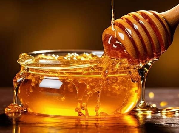 تصویر 4 از قیمت عسل کنار طبیعی با کیفیت ارزان + خرید عمده